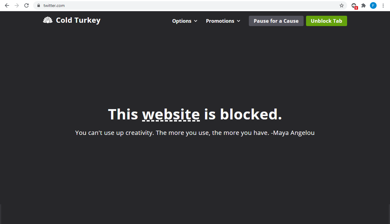 Screenshot of block page